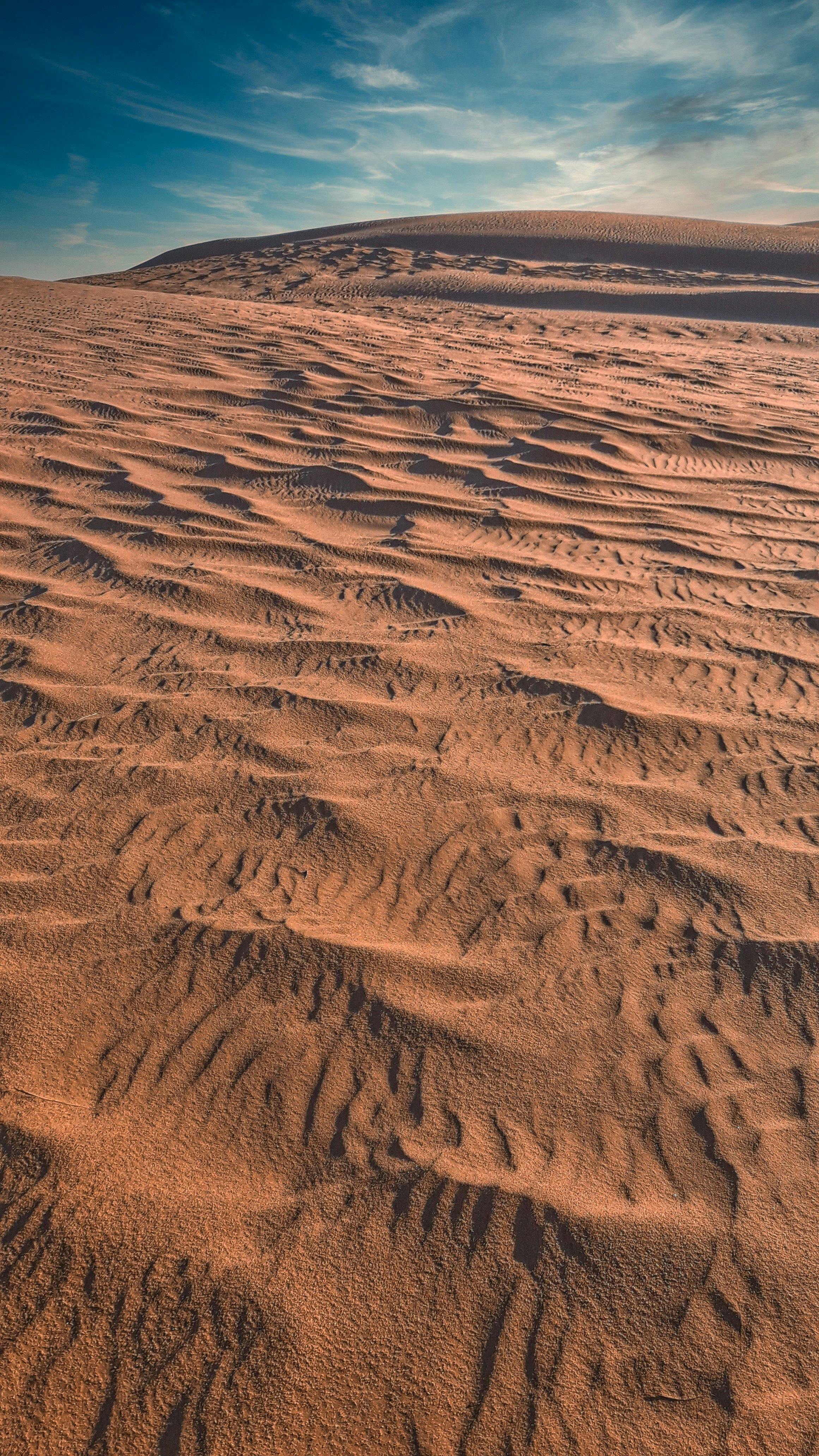 Student Visit Highlights