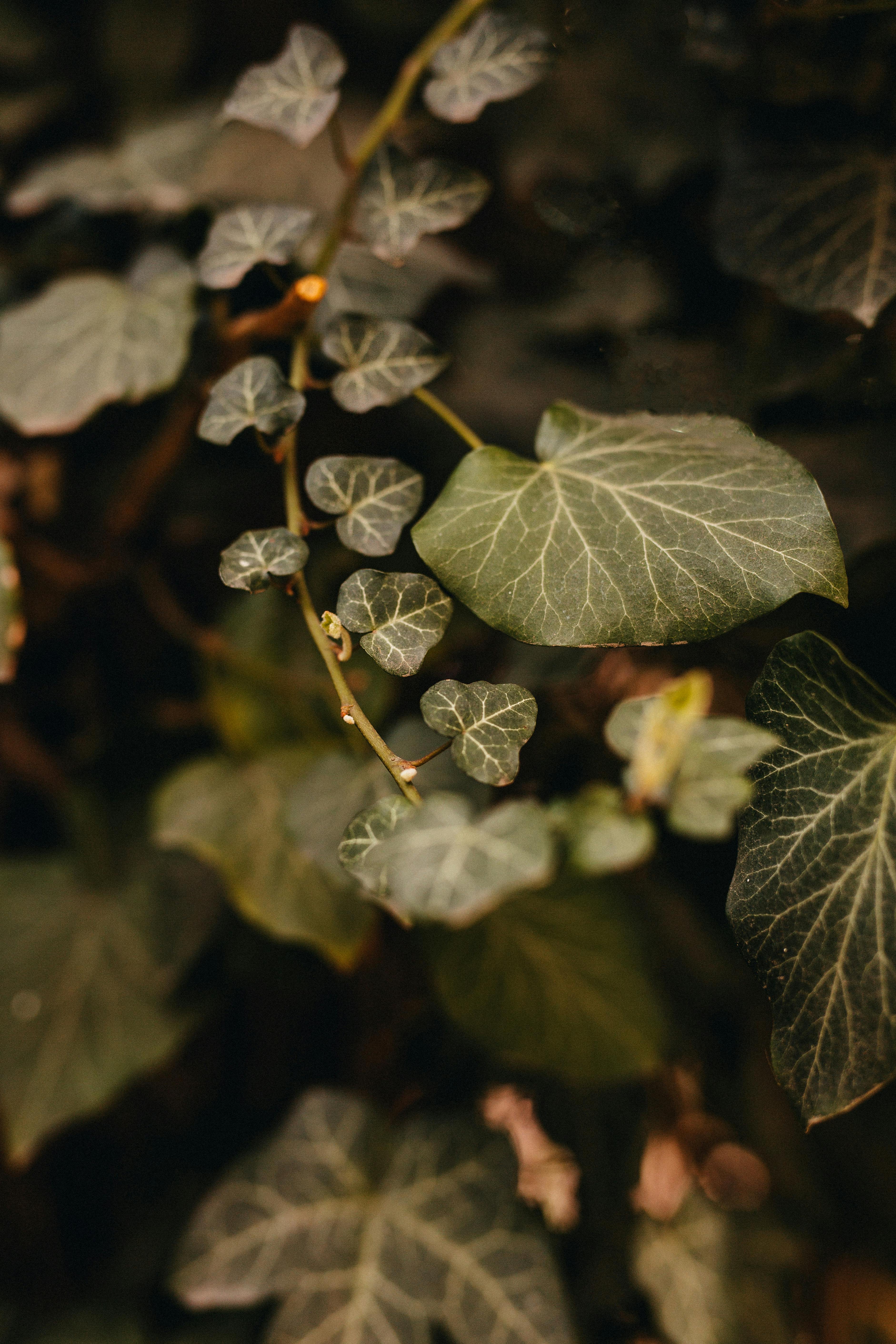 Modern milking parlor